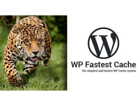 最新WP Fastest Cache Premium缓存插件源码v1.7.2